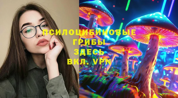хмурый Абинск