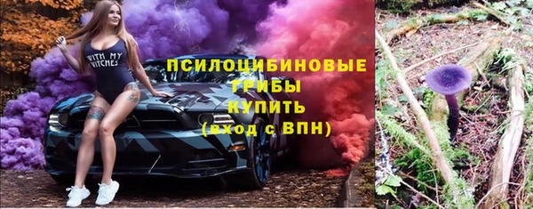прущий лед Абаза