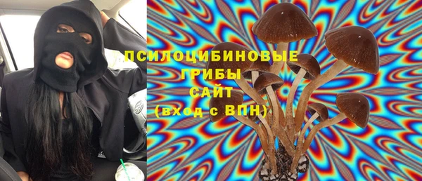 хмурый Абинск