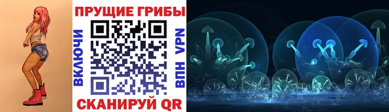 мега как войти Горячеводский Псилоцибиновые грибы Psilocybine cubensis
